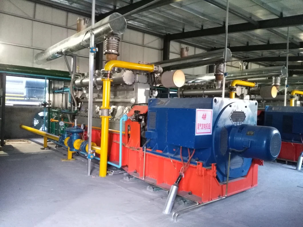 Solid Waste Life Garbage Pyrolysis Gas Power Generation Plant with European Standard