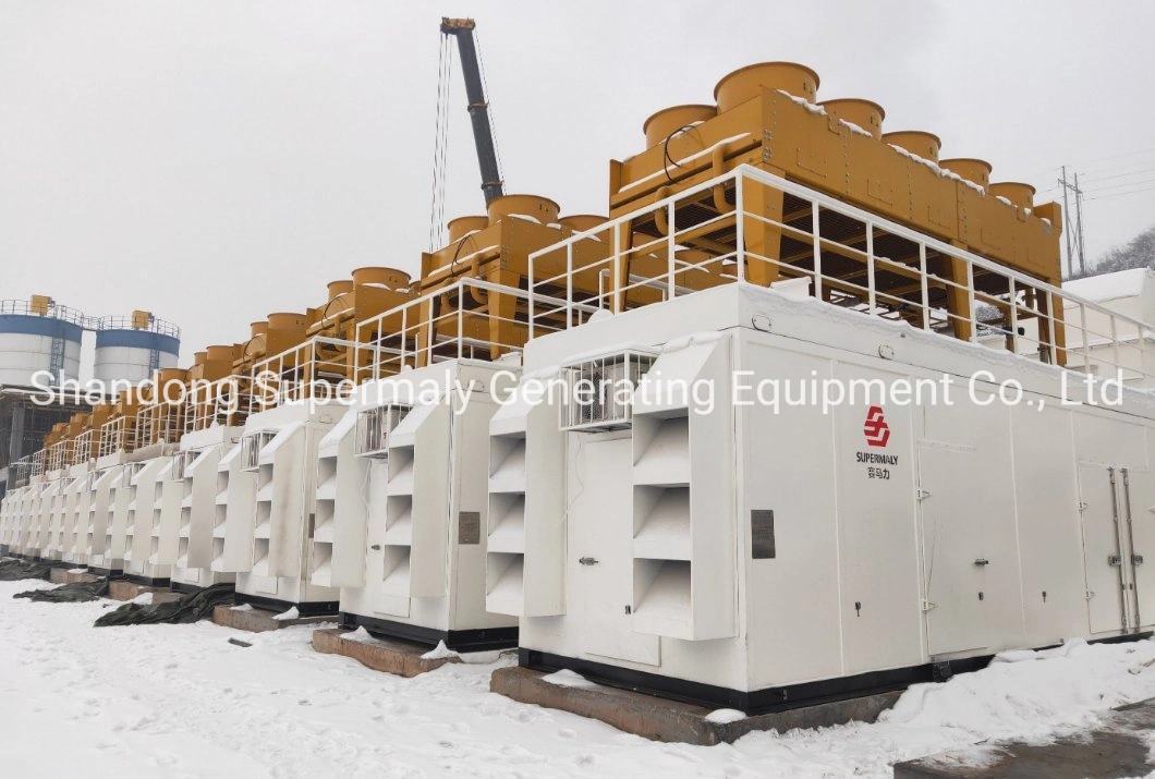 1MW 2MW 5MW 10MW Power Plant for Industry Park