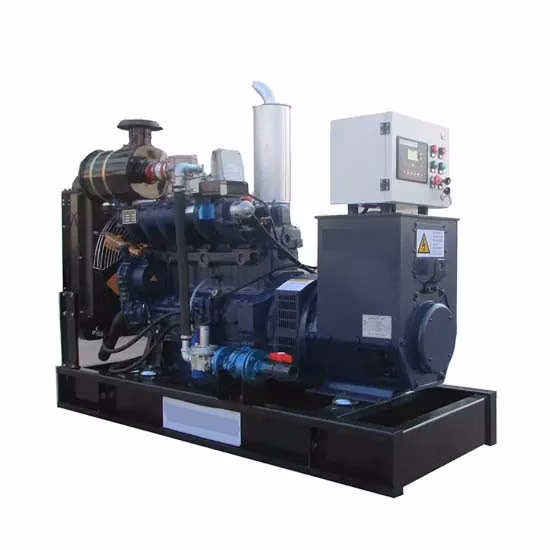 Biogas-Generator-Kraftwerk für landwirtschaftliche Tierabfälle