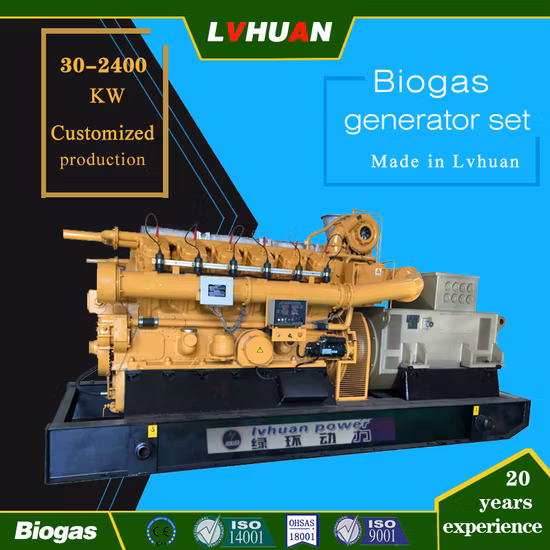 Stromkraftwerk für kommunale Abfalldeponien, Biogasgeneratorsatz 500 kW