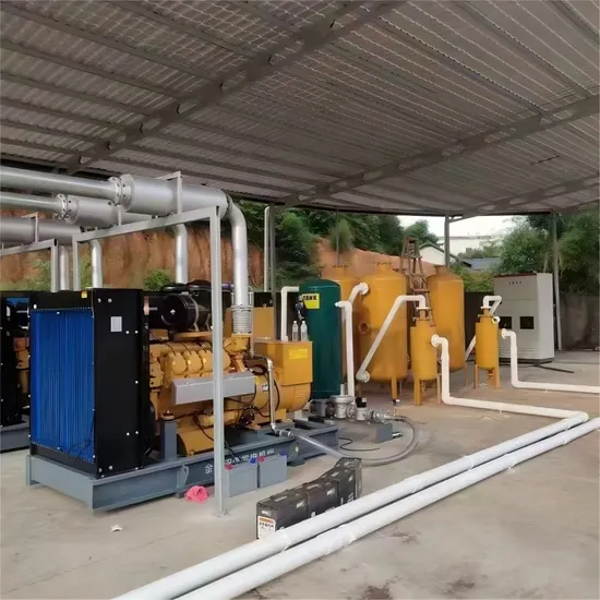 Heißer Verkauf 100-800 kW Schweine-/Kuh-/Hühnerfarm-Biogasgenerator