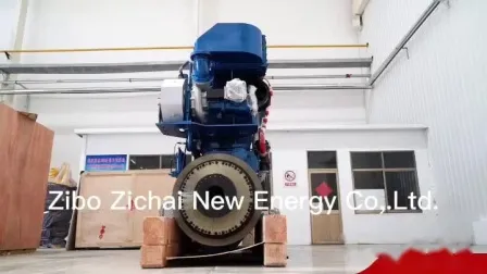 Hersteller von 750-kW-Syngas-Biomasse-Gas-Biogaskraftwerken