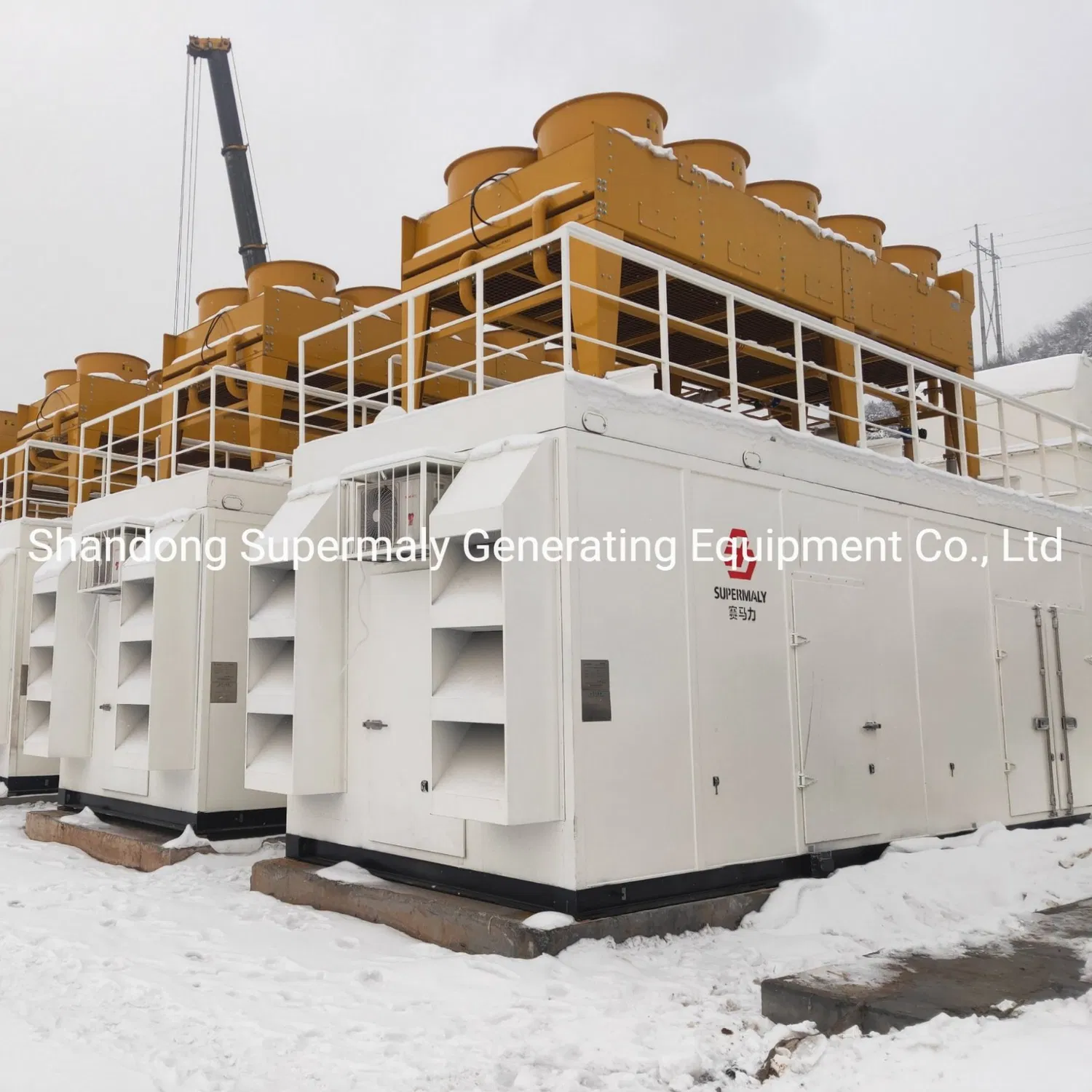 1 MW 1000 kW Biogasgenerator 1000 kW Containertyp Erdgasgenerator Gaskraftwerk
