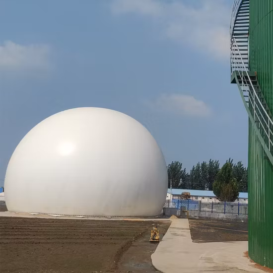 Biogaskraftwerk für Viehmist